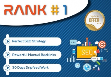 I Will Create Monthly Seo Package With Daily Reports,  Done Manually