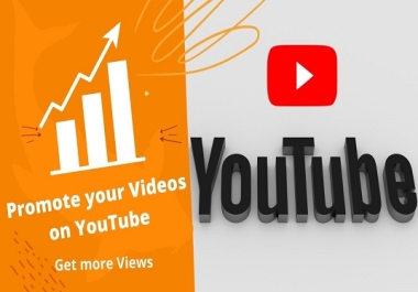 I will do perfact youtube seo to rank your videos.