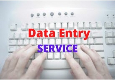 I will do your data entry,  copy paste,  web research,  data mining