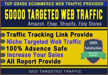 Targeted Website Traffic to Your Website Store