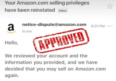 write amazon suspension appeal letter plan of action account reinstatement poa