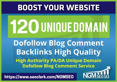 Provide 120 Unique Domain SEO Backlinks on tf100 da100 sites