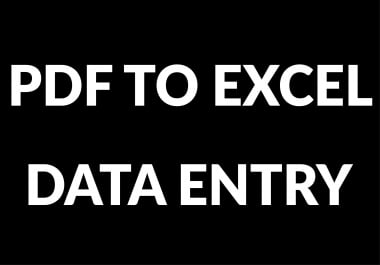 I will do data entry,  web search,  pdf to excel