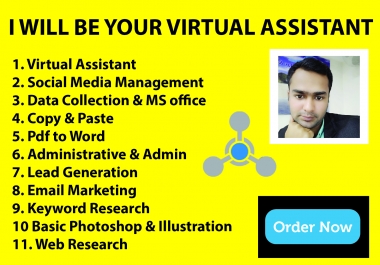 I will be your professional virtual assistant or personal assistant.