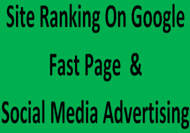 i will do on-page seo, off-page seo for google fast page