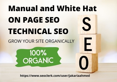 Manual and White Hat On page SEO and Technical SEO for your Website