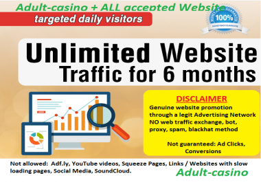 Unlimited Adult Website Traffic for six Month - Adult Website Traffic