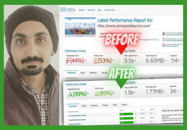 I will do wordpress page speed optimization with premium plugins