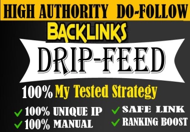 Provide Daily Drip Feed SEO Link building Service With White Hat Technique