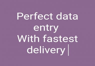 I will provide fastest devilry on any type of data entry on low rates.