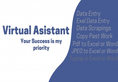 Do data entry,  typing work,  excel work,  virtual assistant,  scraping work,  jobs