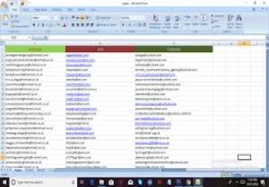 expert data entry worker for all format of data