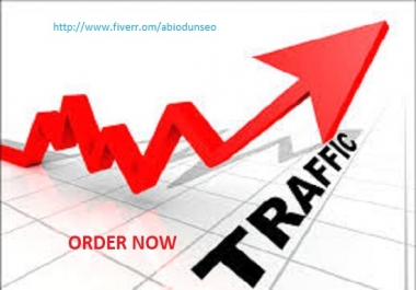 I will drive 30,000 targeted traffic to your website