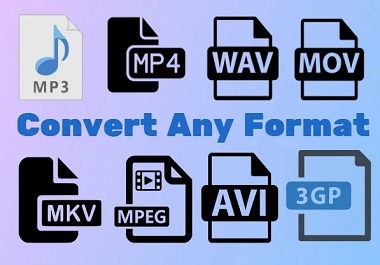 I will convert any audio or video file to mp3,  mp4,  wav,  pdf to word, word to pdf,  other file format