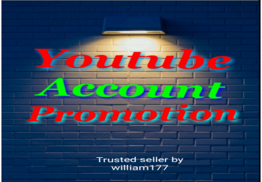 I WILL DO FAST YOUTUBE ACCOUNT PROMOTION