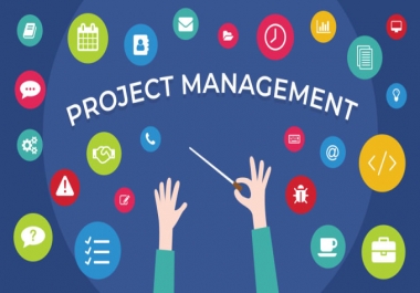 I will do your project management task