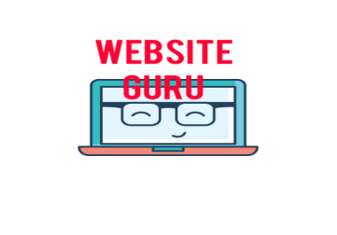 Professional Website design consultant