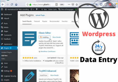 I will do wordpress data entry and blog post