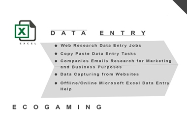 Data Entry Excell,  Web Search,  Data Allocation