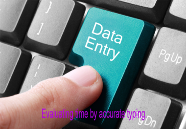I will do professional Data Entry for any organization