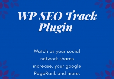 WP SEO Track PluginWith this simple plugin  you can get the true insight on your web traffic efforts