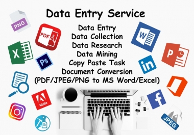 I will Do All Types Of Data Entry in reasonable price