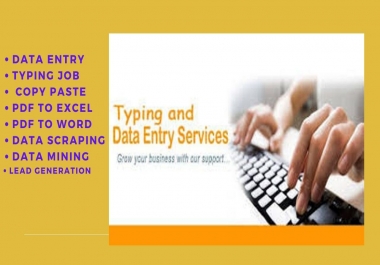 I will do cheapest excel data entry typing work,  web research for you