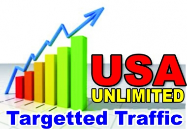 I WILL DRIVE TARGETED USA TRAFFIC TO YOUR WEBSITE,  BLOG OR LINK