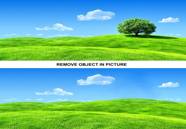 I WIll Remove Object /Edit/Replace Object in 2 Photos in One Hours