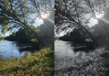 Adding Color to Black and White Photo