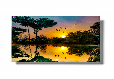 Logo designing and graphic designing and animation
