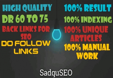 Get 30 DR 60 to 75 homepage permanent PBN Backlinks