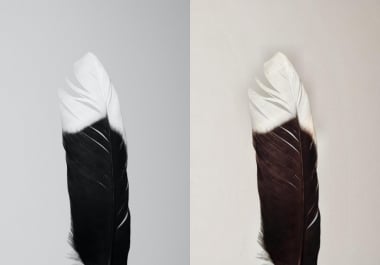 Colourise your images in better way Don't waste your time minimum payment