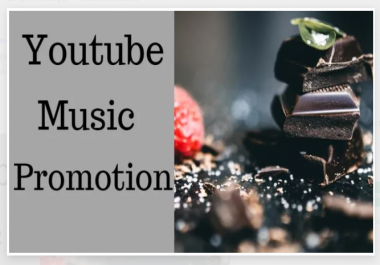 I will do organic youtube video promotion for you