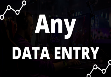 I will do excel data entry,  copy paste,  typing work