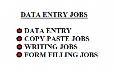 I will provide data entry operations such as copy paste,  writing jobs