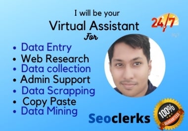 I will be your virtual assistant