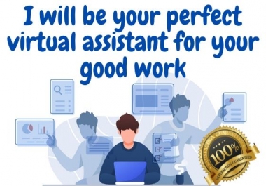 I will be your perfect virtual assistant for your good work