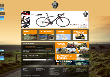 Design and Develop Wix & WordPress eCommerce WooCommerce website