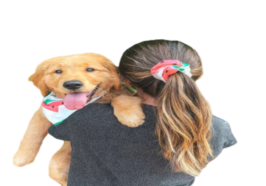 I will remove backgrounds for 20 images and simple Editing