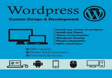 I will offer install wordpress theme setup demo and customize, plugin within 24 hour