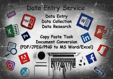 Provide quality data entry and web research