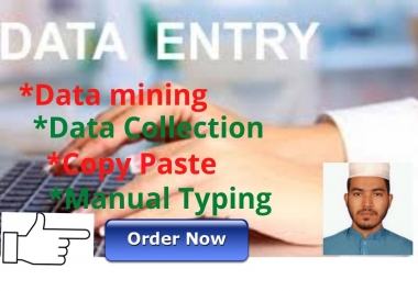 i will any data entry,  data mining,  copy paste, image to excel,  online data entry.