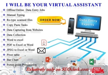 I Will Do Any Kind of Data Entry,  Copy Paste,  Pivot,  chart and Typing Work for 2 hours