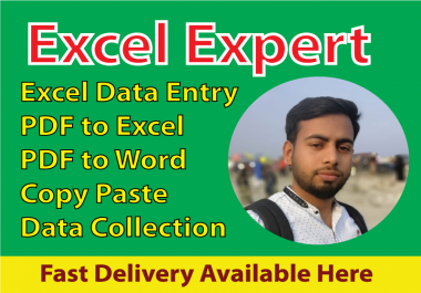 I will professionally do excel data entry, typing,  copy paste,  data entry