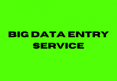 i will do big data entry service