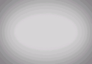 Customized Animated Infographics Video