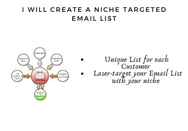 Create a niche targeted email list