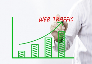 I WILL PROVIDE 50000 Human Unique USA targeted traffic