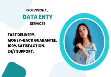 I will provide professional data entry,  data collection,  data mining services